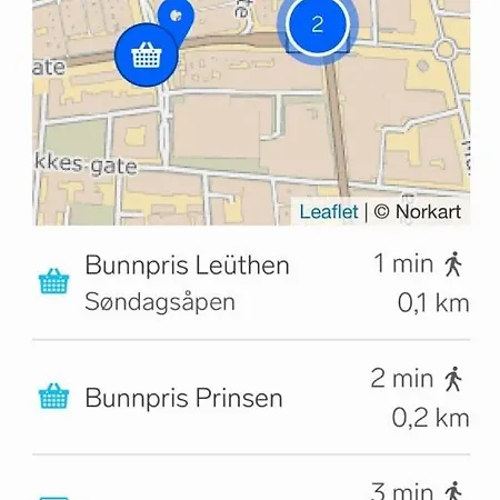 Romslig Studioleilighet Med Utsikt Over Kongensgate *
