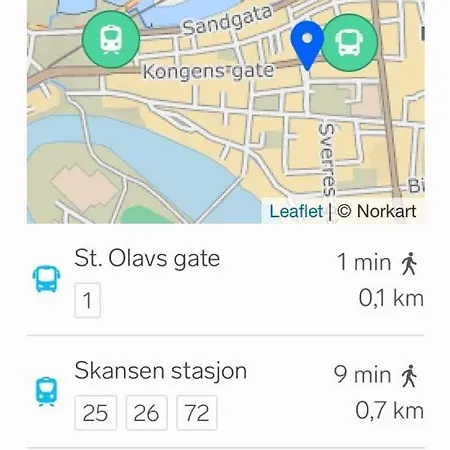 Romslig Studioleilighet Med Utsikt Over Kongensgate *