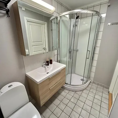 Apartment Romslig Studioleilighet Med Utsikt Over Kongensgate *