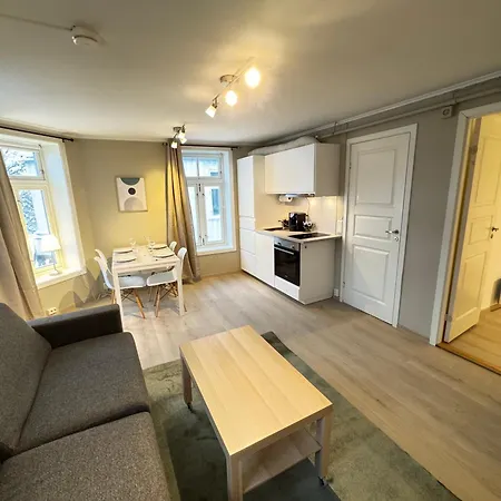 Romslig Studioleilighet Med Utsikt Over Kongensgate شقة