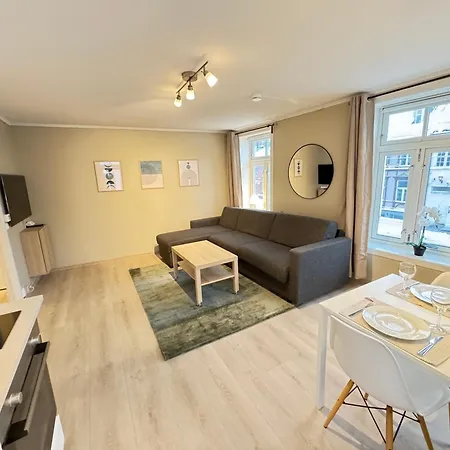 Romslig Studioleilighet Med Utsikt Over Kongensgate *
