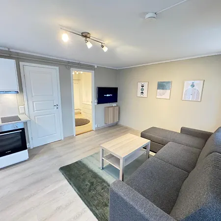 Romslig Studioleilighet Med Utsikt Over Kongensgate * Trondheim