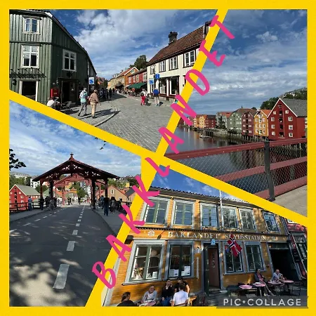 Romslig Studioleilighet Med Utsikt Over Kongensgate * تروندهايم