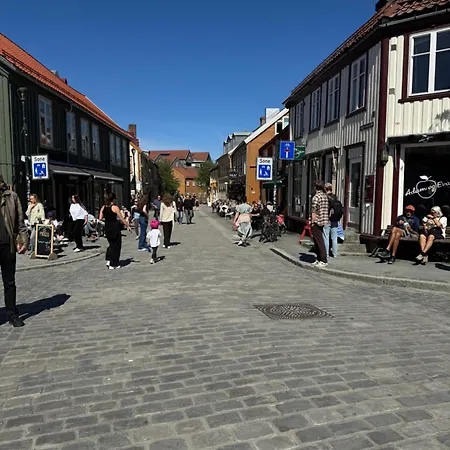 Romslig Studioleilighet Med Utsikt Over Kongensgate شقة *