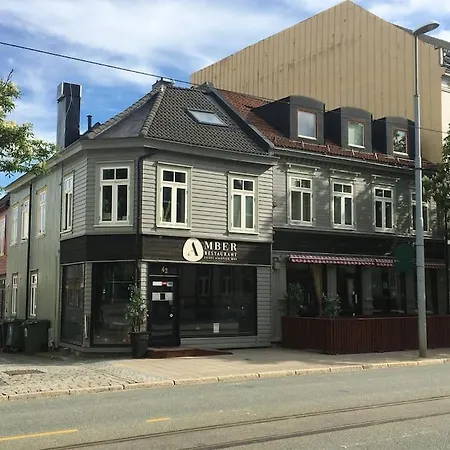 Romslig Studioleilighet Med Utsikt Over Kongensgate Appartement *