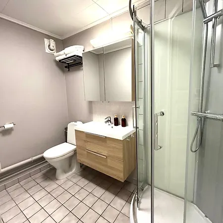 Romslig Studioleilighet Med Utsikt Over Kongensgate Appartement