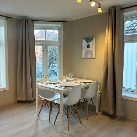 Romslig Studioleilighet Med Utsikt Over Kongensgate Appartement *