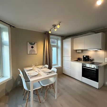 Romslig Studioleilighet Med Utsikt Over Kongensgate Appartement *