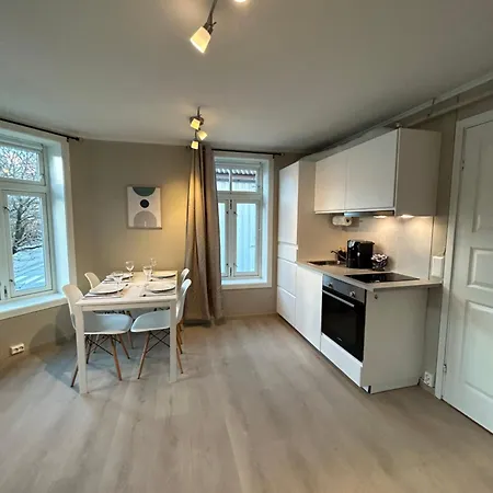 Romslig Studioleilighet Med Utsikt Over Kongensgate