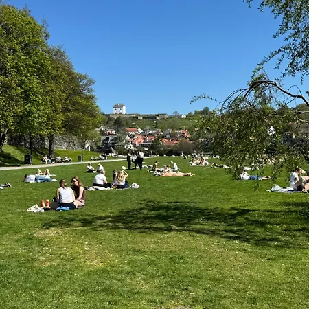 Appartement Romslig Studioleilighet Med Utsikt Over Kongensgate Trondheim